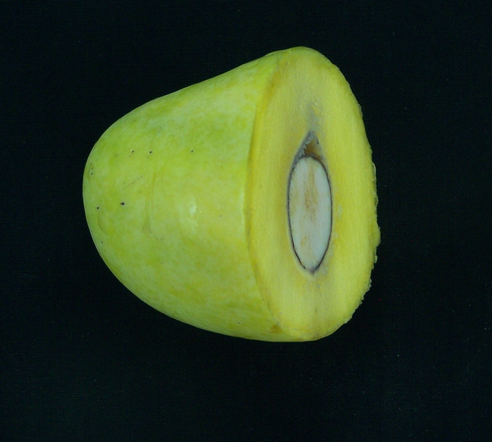 Zardalu